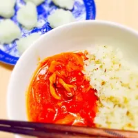 チキンのトマト煮込みとガーリックライス|ちゃぼさん