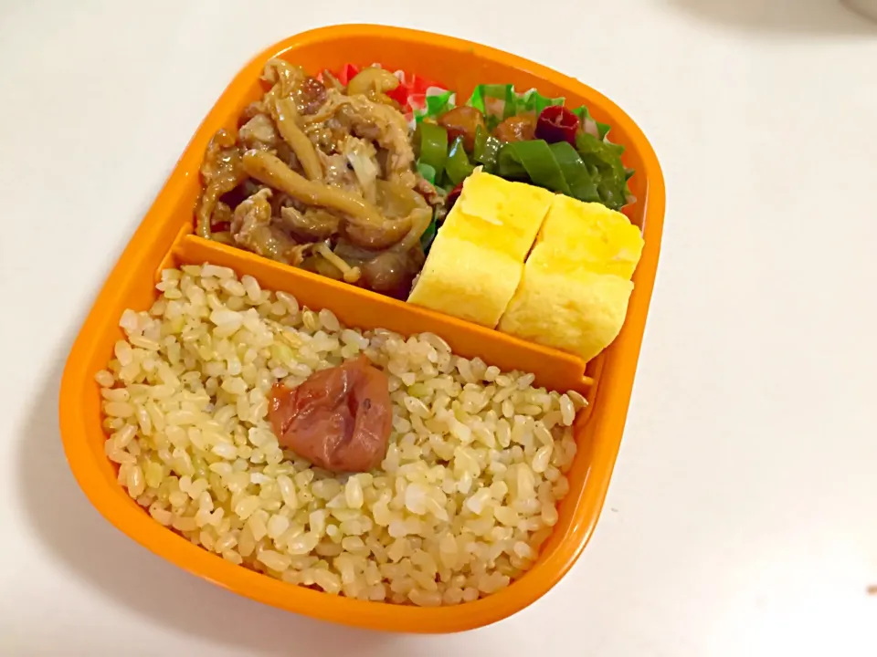 5/22のお弁当|しおり。さん