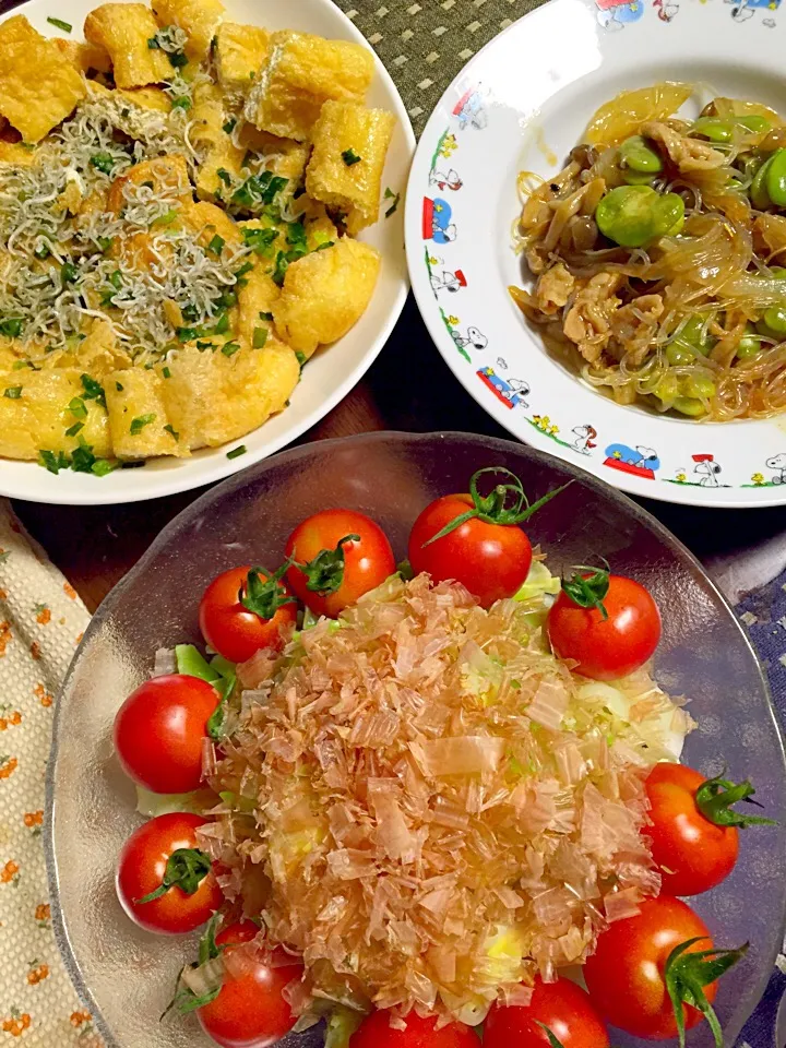 Snapdishの料理写真:空豆と春雨のオイスターソース炒め 揚げの焼き浸し キャベツサラダおかか添え|掛谷節子さん