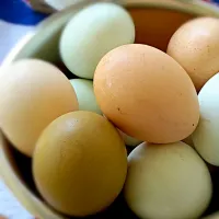 Farm Fresh Eggs|Nancy Childressさん