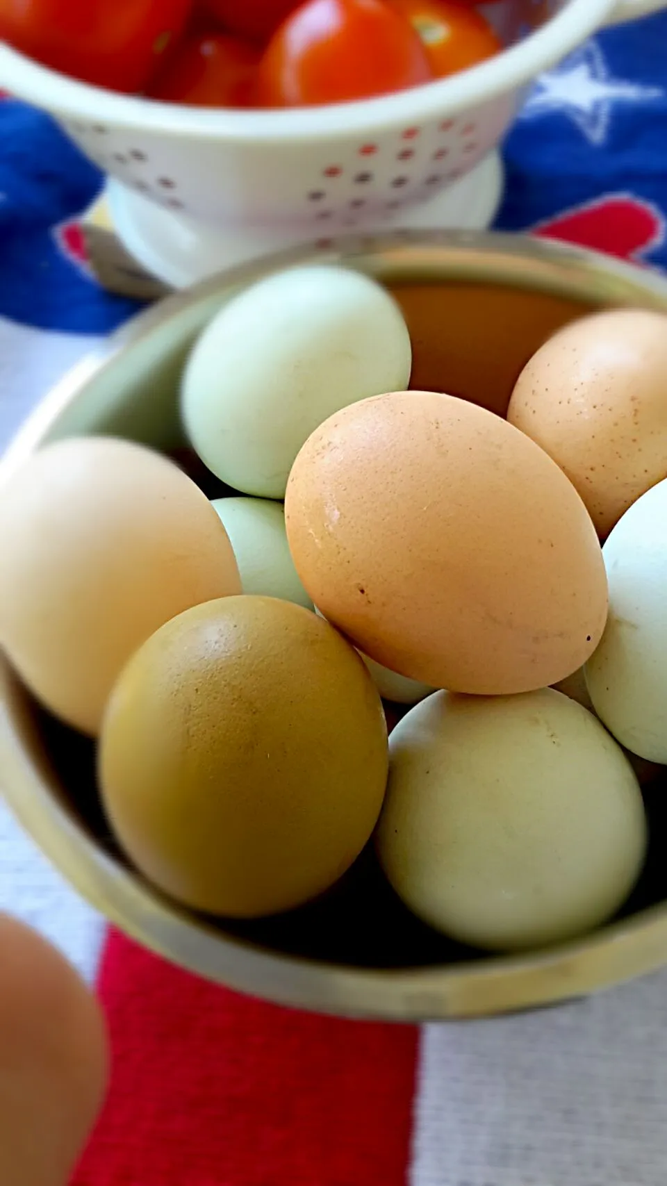 Farm Fresh Eggs|Nancy Childressさん