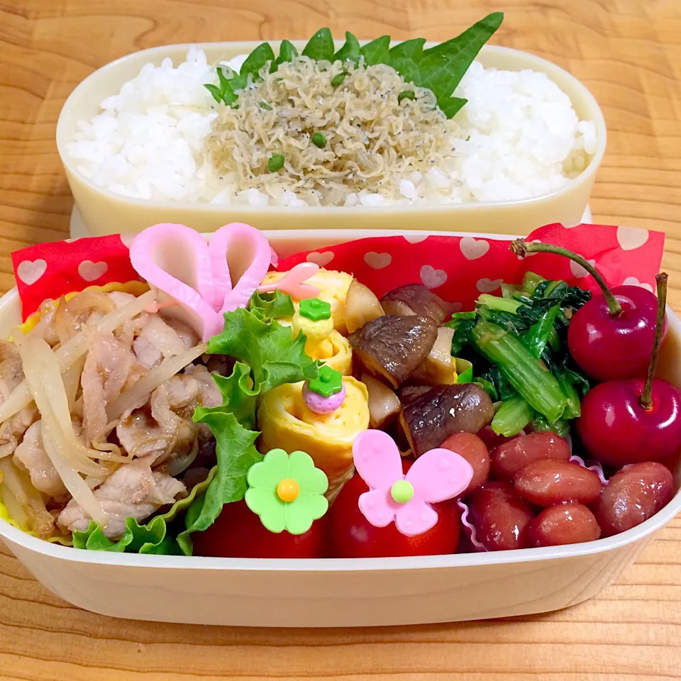 Snapdishの料理写真:豚ともやしの炒め物お弁当♪|たるとさん