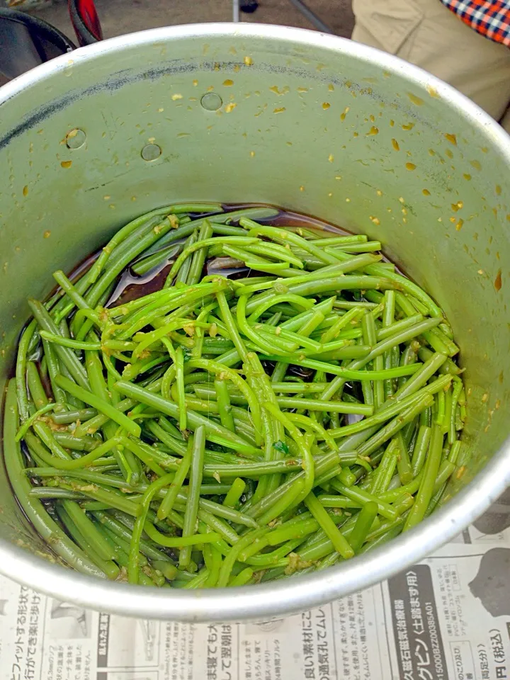 生姜醤油和え|satoeさん