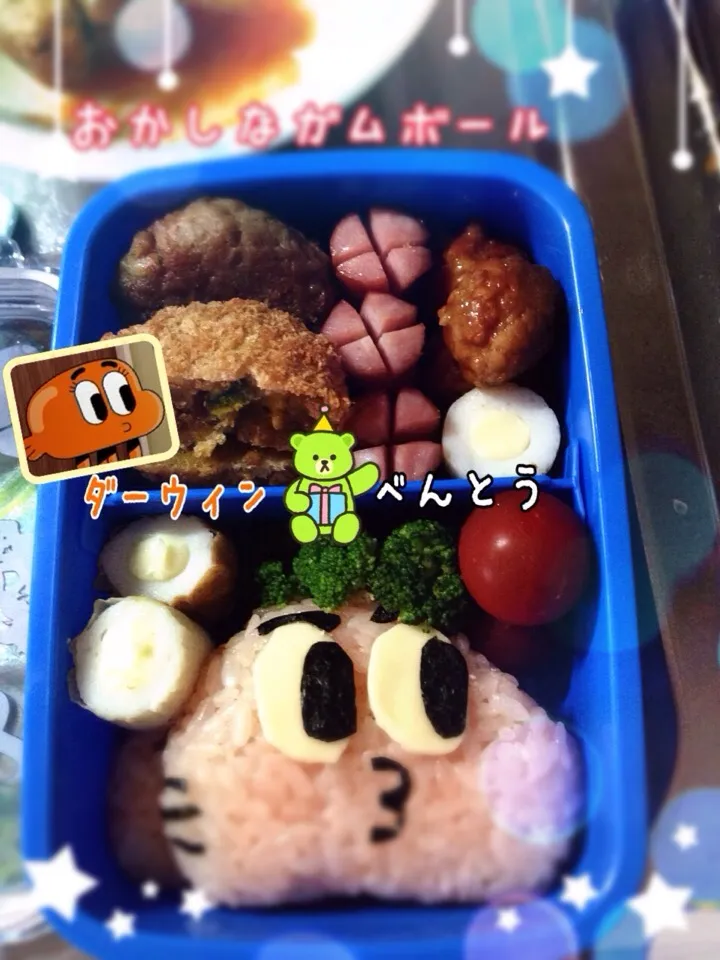 ダーウィン弁当💓|とっとろーさん