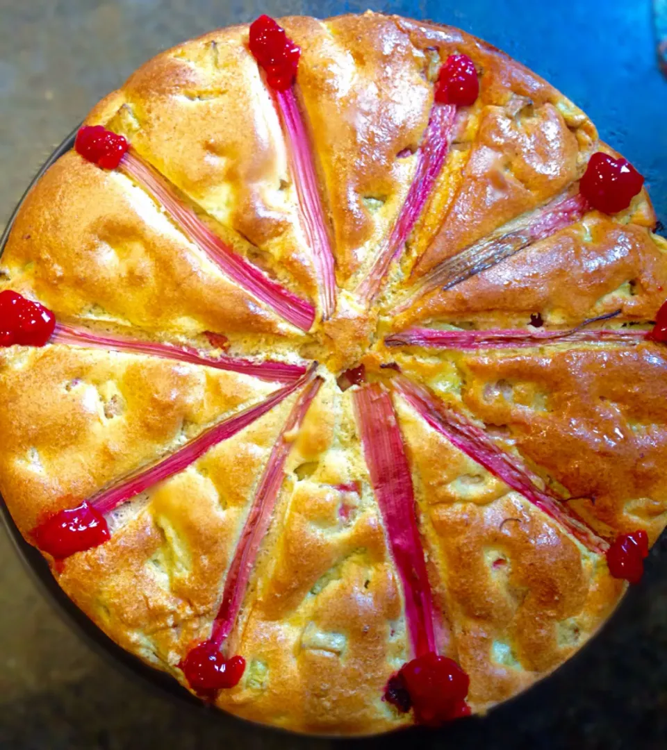 Rhubarb Raspberry and Honey  cake|Aliceさん