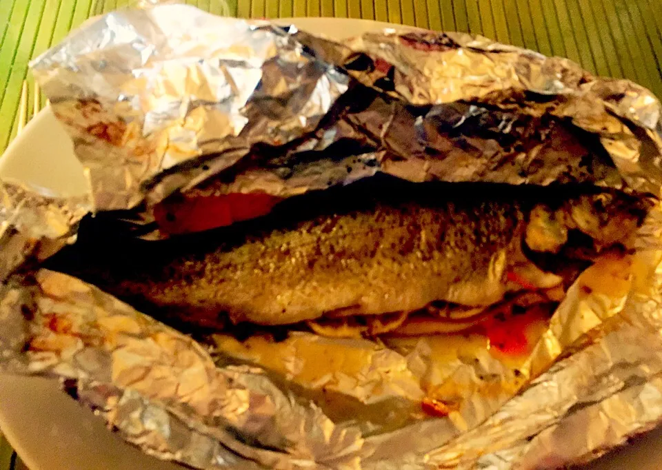 Trout in foil|Generaalさん