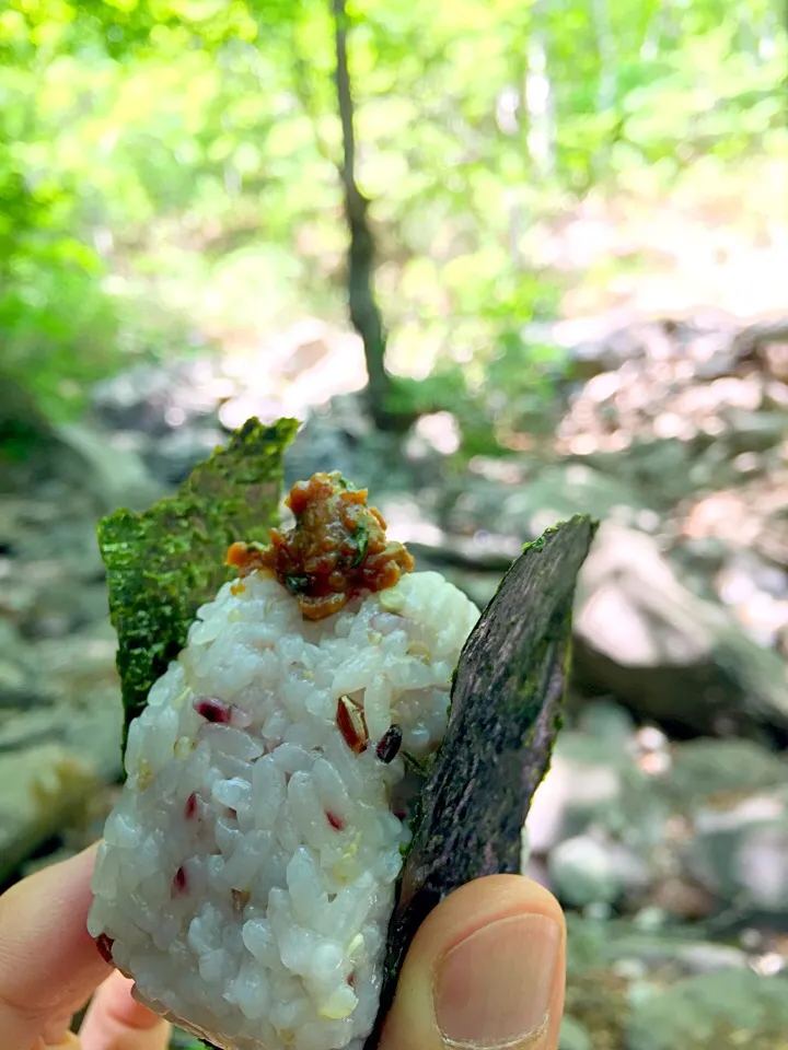 登山の湧き水場所で味噌マヨおにぎり弁当(^^)|Hiroo  Higuchiさん