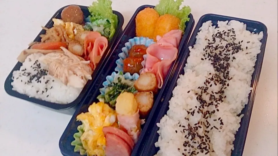 Snapdishの料理写真:今日の長男弁当～と母お仕事弁当～🌵|Sayakaさん