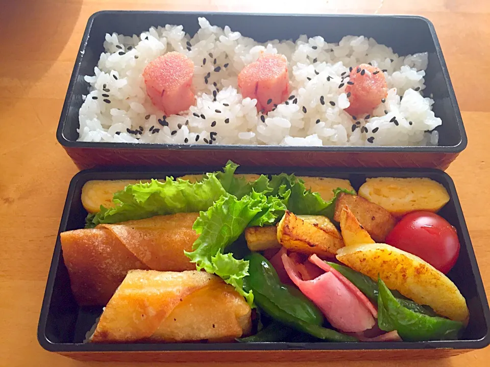 春巻き弁当(*^^*)|sachiさん