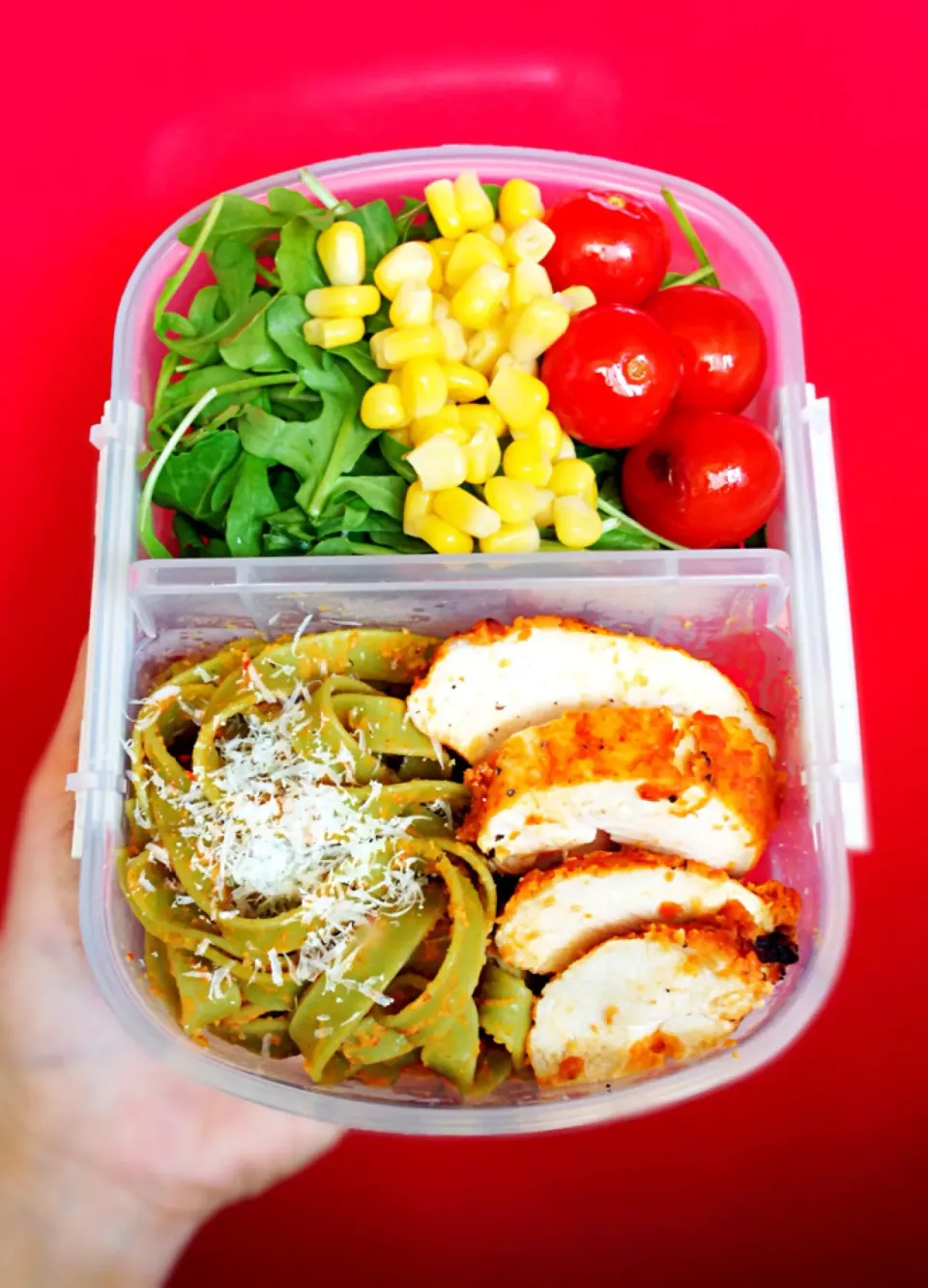 Today's bento - red pepper hummus crusted chicken breast, spinach tagliatelle tossed in red pepper hummus sauce, salad|coxiella24さん