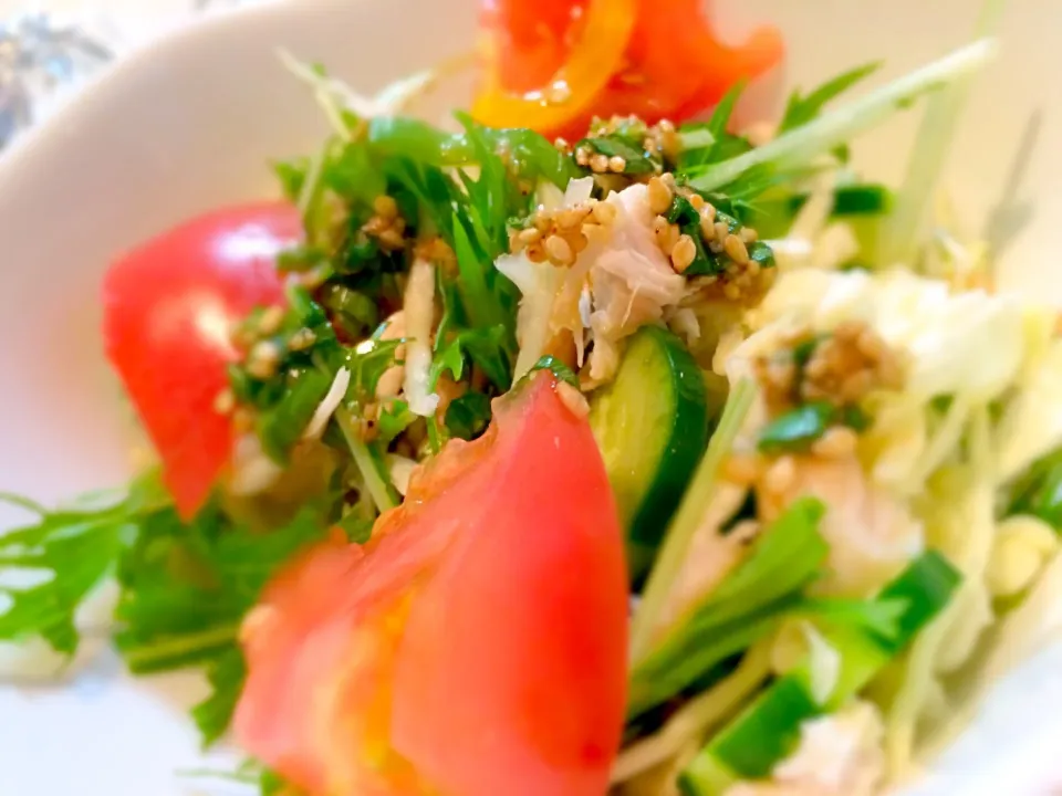 棒棒鶏サラダ|rinapei_さん