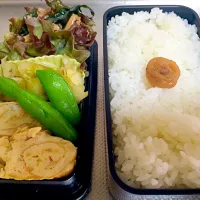 妻弁当|あこさん