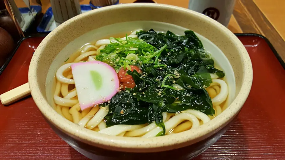 Kyushu udon|Nicholas Tayさん