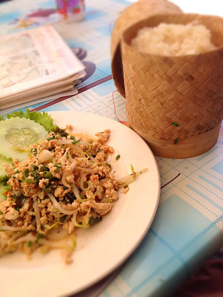 Snapdishの料理写真:旅で出会った美味しい食事   ラープカイ&カオニャオ|mindiaさん