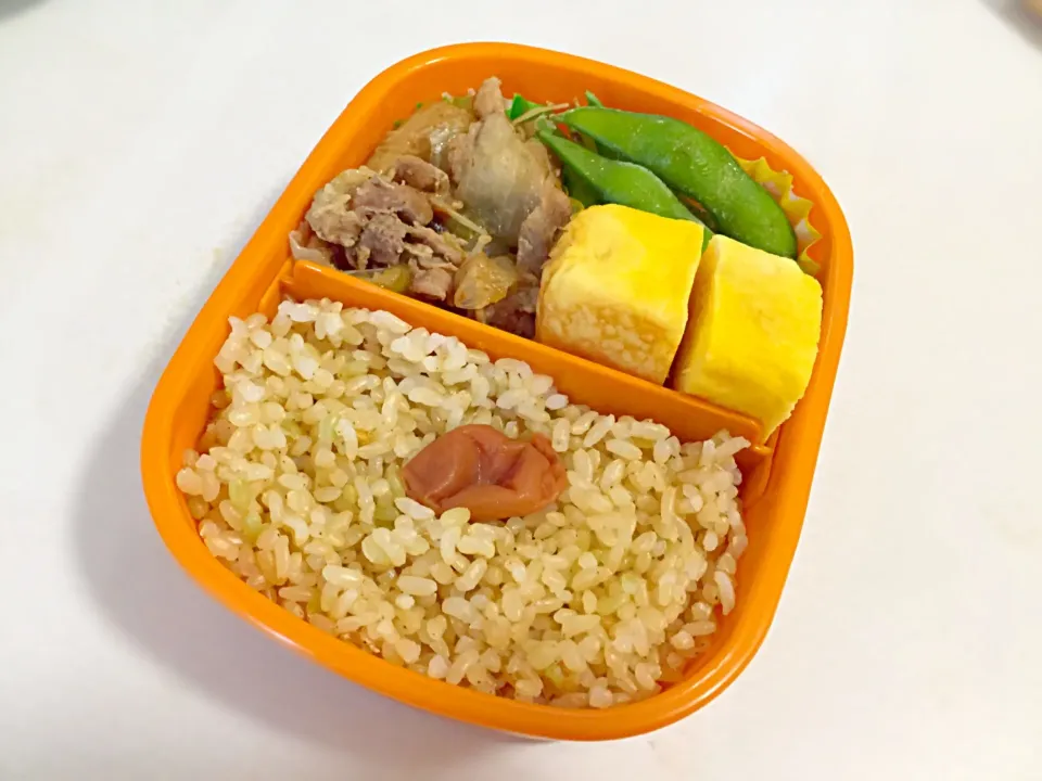 Snapdishの料理写真:5/27のお弁当|しおり。さん