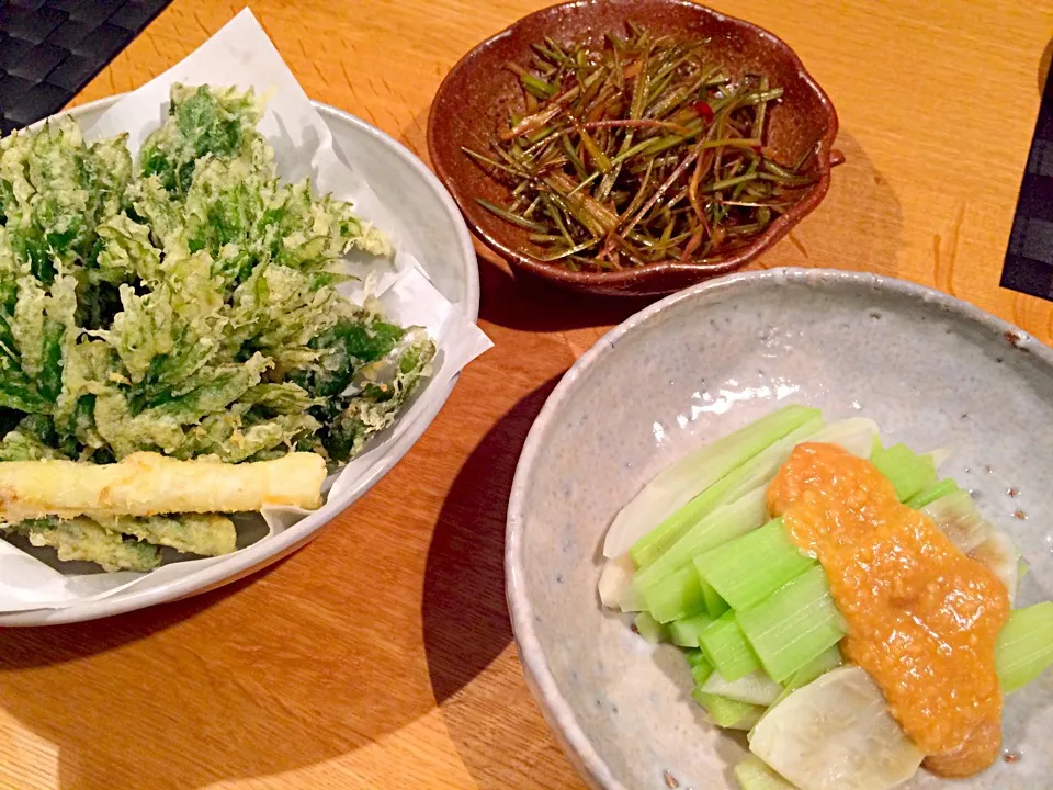 ウド三昧 😁 根元は酢味噌 葉先は天ぷら 皮はきんぴら 採ってきたものの、なかなか消費できない〜 😥|doc3387さん