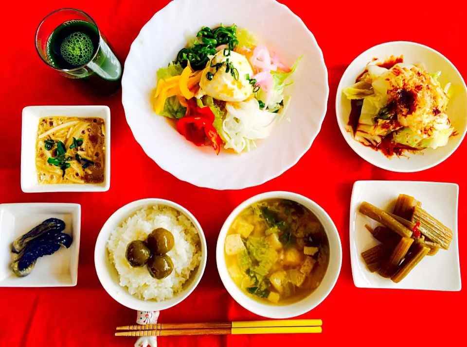 朝ご飯は勝負飯^_^✌️酢漬け野菜のサラダトーフのせ、白菜お浸し、ふき煮付け、とろろソーメン納豆卵わさび醤油和え、🍆の漬け物、はちみつ梅乗っけご飯^_^✌️野菜づくしの朝ご飯完食しました^_^💓|はみちゃんさん