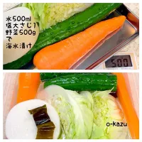 Snapdishの料理写真:水500ml塩大さじ1野菜500gで   海水漬け