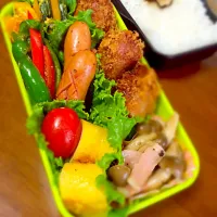 5/27旦那様のお弁当|momoichiさん