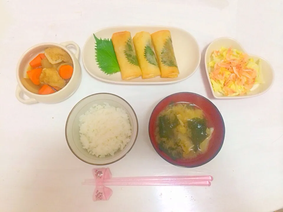 Snapdishの料理写真:5/27 よるごはん|honamiさん