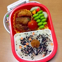 Snapdishの料理写真:梅ごま塩お弁当。|そらおママさん