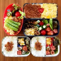 Snapdishの料理写真:いつもの弁当〜今日は4人前|カオリンゴ♡さん