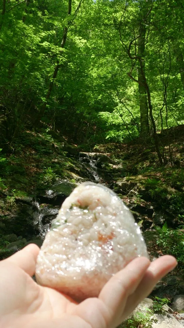 (昨日の)ピクニック・ランチ in 山梨
渓谷沿いで食べました。
カメラと三脚もって重かった分、余計に美味しかった！
中川先生を食べ友にさせてもらっちゃいましたー✨|akemi🐝さん