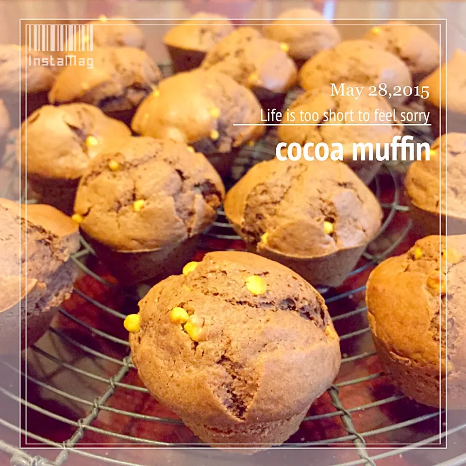 cocoa muffin|m’chinさん