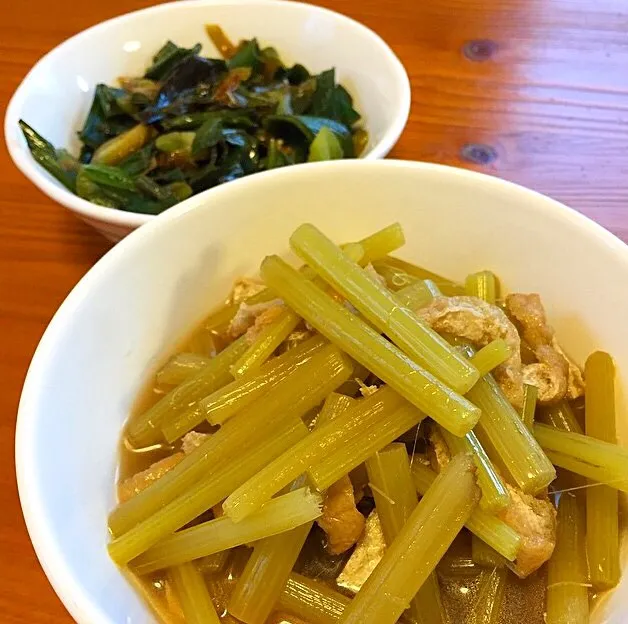 蕗の煮物,葉玉ねぎの醤油炒め|wwwchawwwさん