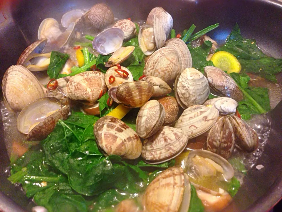 clams Pasta Source?|Rio T Bollag(里桜)さん