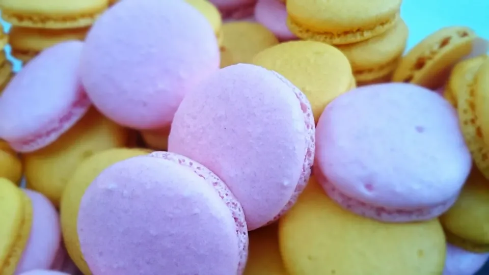 Frenc Macarons #macarons|Charlotteさん