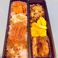 今日のお弁当ー|どどさん