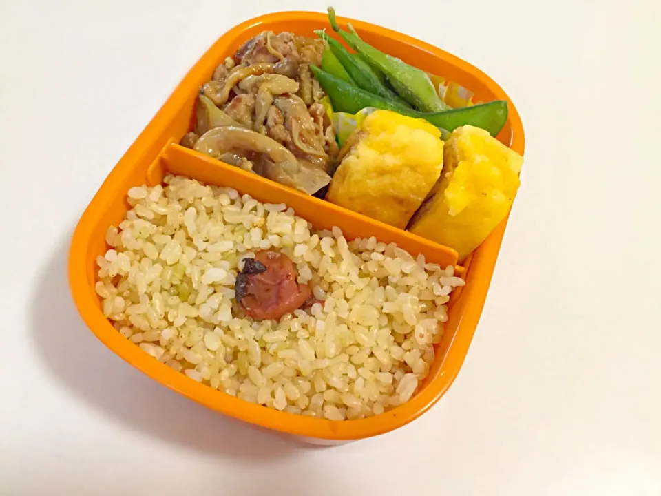 5/29のお弁当|しおり。さん