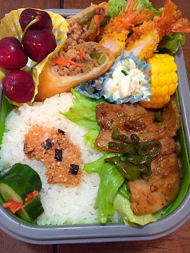 Snapdishの料理写真:お弁当|emaさん