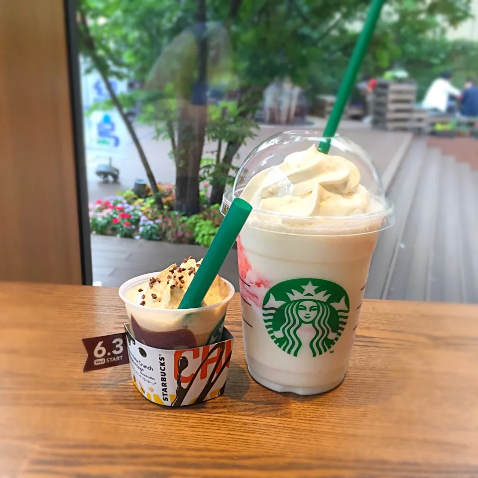 Snapdishの料理写真:5/27 苺のフラペ ＆ チョコフラペの試飲|薄荷さん