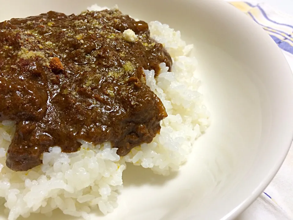 辛さとまろやかさのごちゃまぜカレー。|Fujita Jun'jiさん