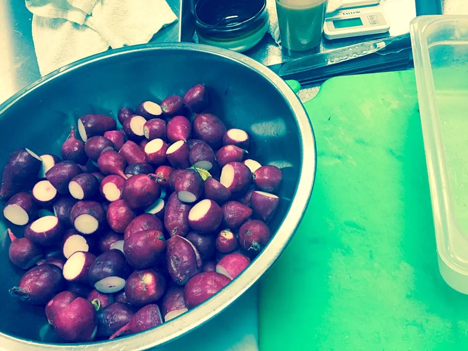 Daily radish slicing @ work....|Humberto f. gonzalezさん