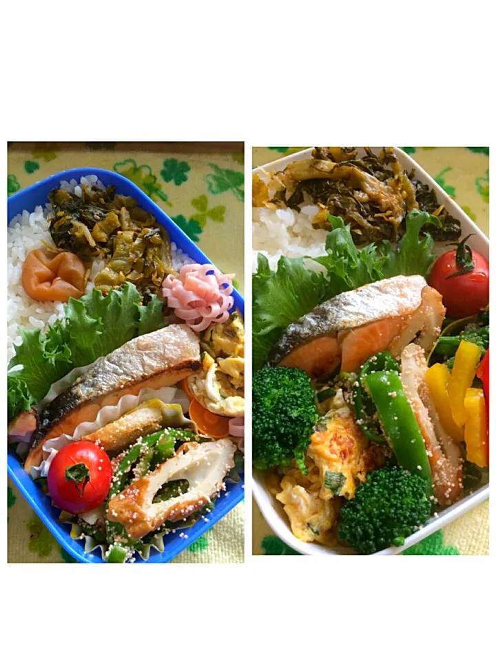 Snapdishの料理写真:息子&母さんのお弁当〜〜♪|kiyomiさん