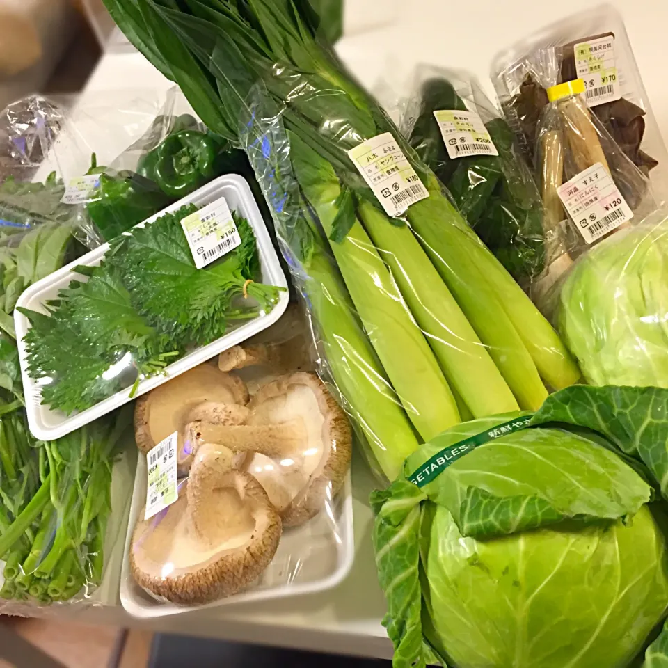 田原で野菜をたくさん買って来ました〜♪|ヨッチャンさん