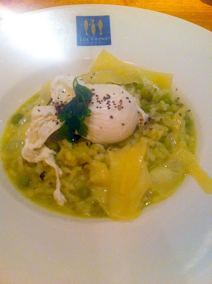 Snapdishの料理写真:Vegetarian starter - minted pea risotto with a poached egg x|🍓Jolejo🍓さん