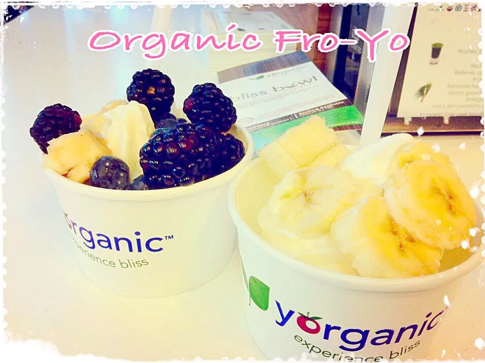 Organic Frozen yogurt|erisさん