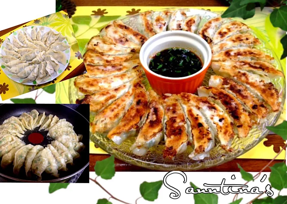 🍴GYOZA dumplings for Lunch...餃子😋旦那さんが食べたいと言うから...^_^💕|🌺Sanntina🌺さん