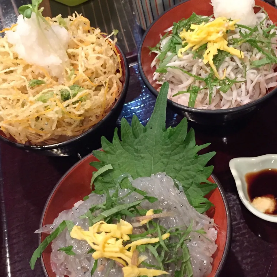 Snapdishの料理写真:しらす三種丼|麻紀子さん