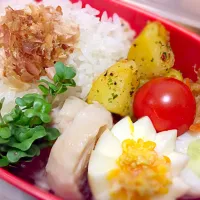 お弁当(とりハム・アンチョビポテト・ちくわキュウリ・切り干し大根・プチトマト・おかかと茗荷の簡単ふりかけ)|かなこさん