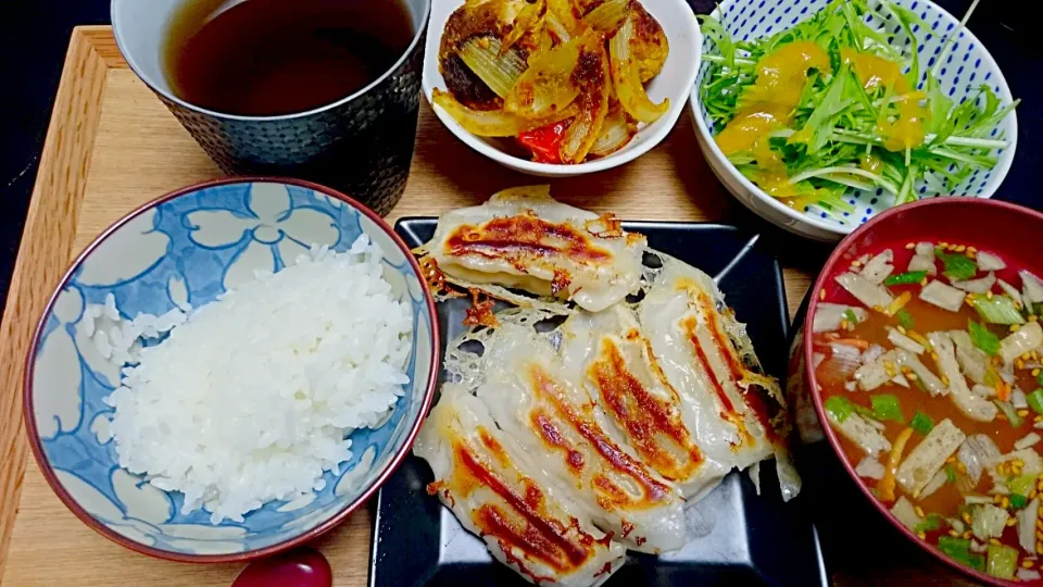 餃子、カレー味のおからボール、サラダ|けむまきさん