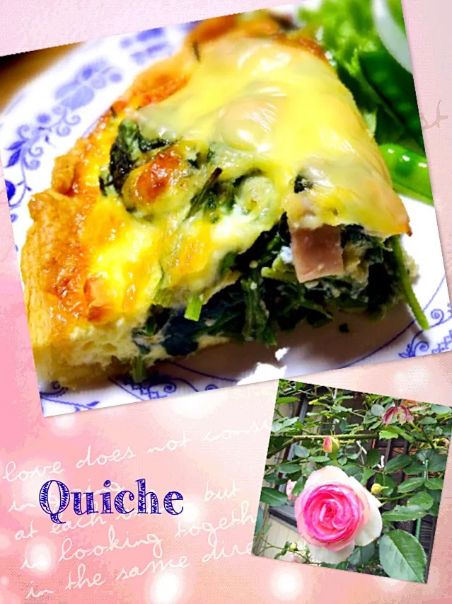 Quiche  - ほうれん草とハムのキッシュ|cocoaさん