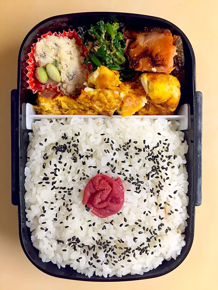 Snapdishの料理写真:お弁当／男子高校生|nayutaさん