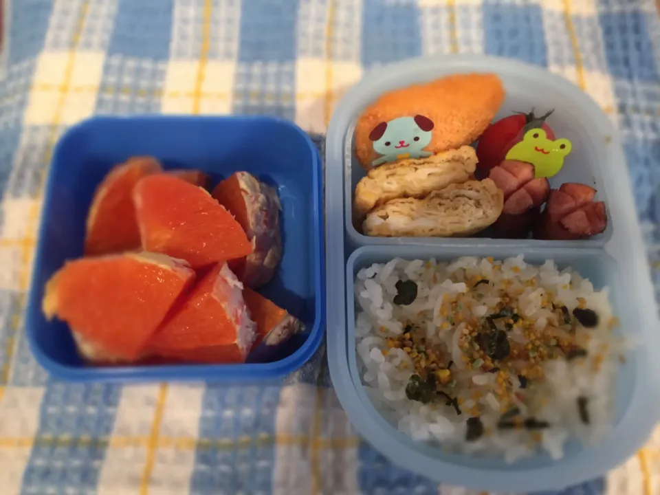 Snapdishの料理写真:普通弁当|りえさん