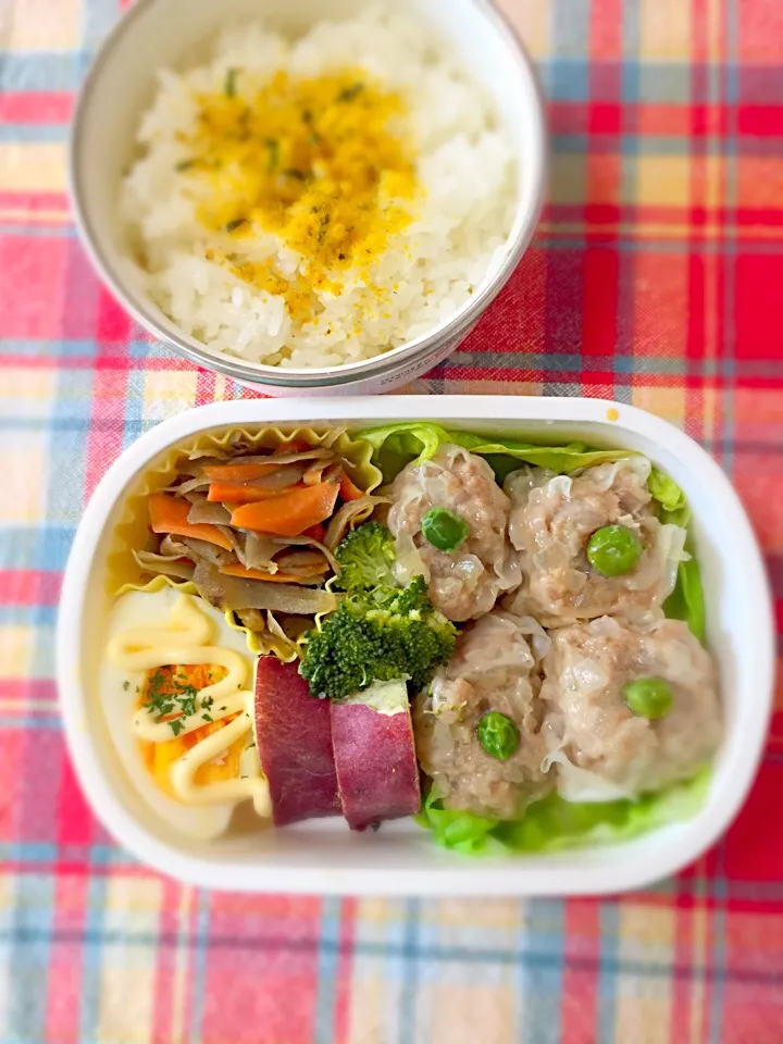 6月1日旦那弁当|ikeharaさん