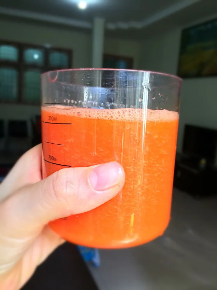 Carrot papaya smoothies|wu lan lieさん